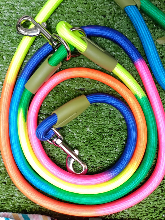 The Freedom Walk Bundle