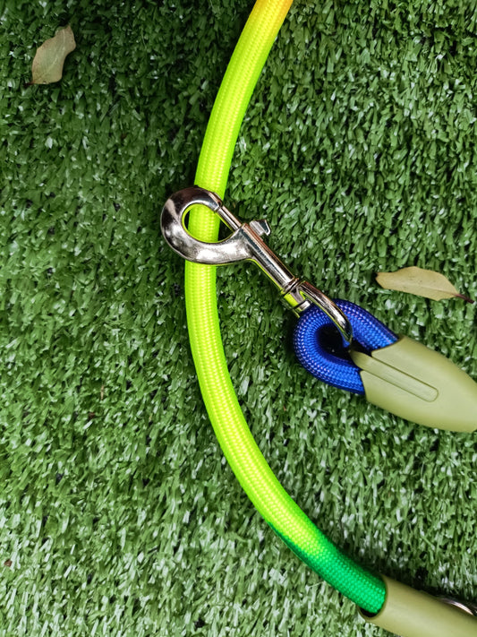 The Freedom Leash