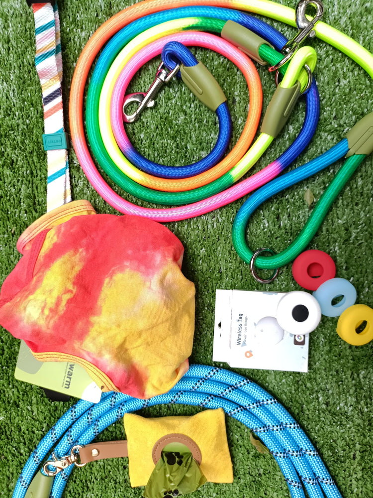 BUNDLED SPECIALS  🌿 Dog Walking Bundles – Spring/Summer Collection