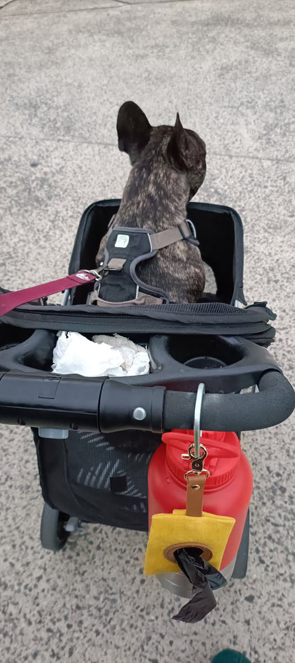 Dog in a stroller with a red water bottle attached on a concrete surface