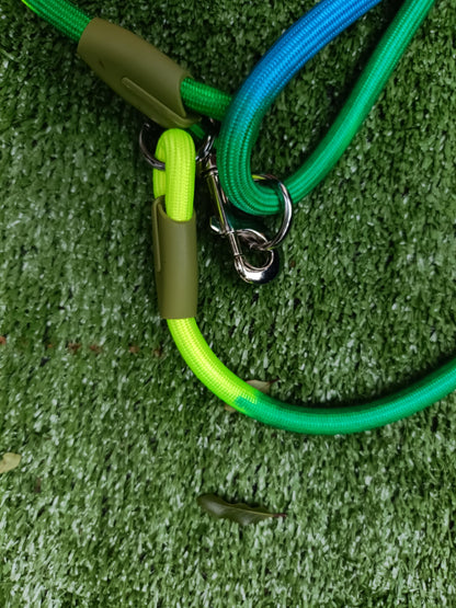 The Freedom Walk Bundle