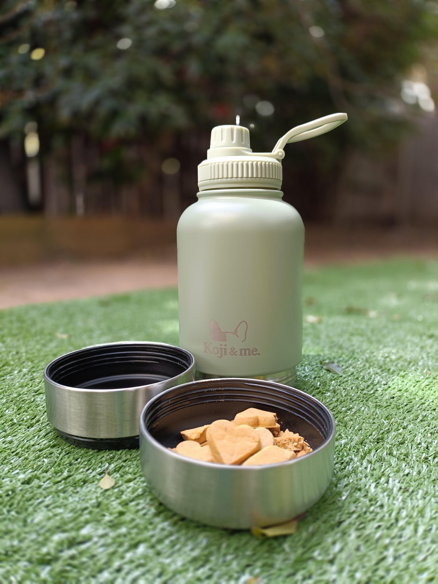 The Freedom Walk Bundle