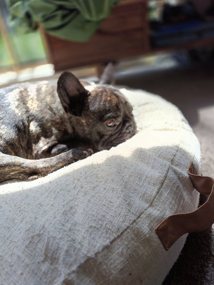 Organic Recovery Bone Broth for Dogs - Koji & me.