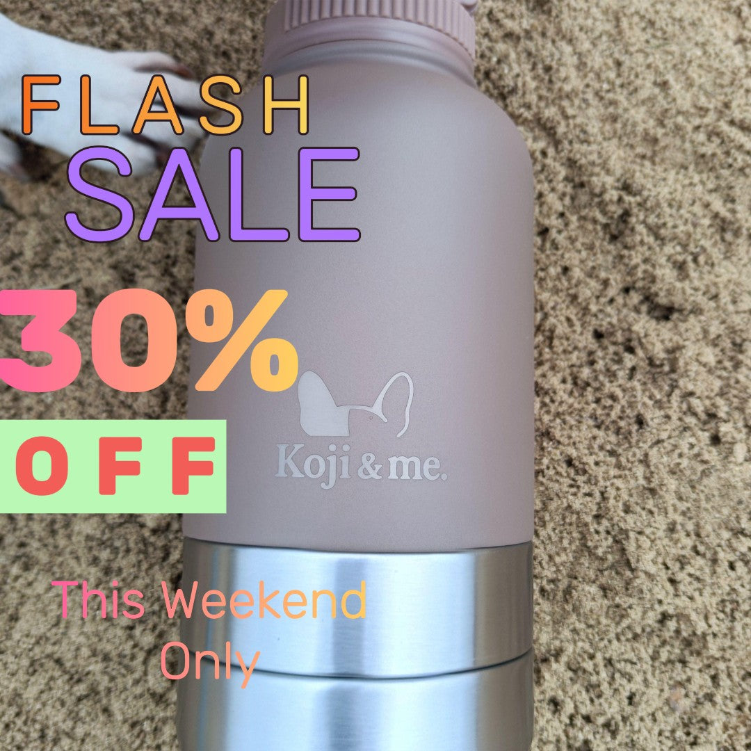 The Get-About Bottle - Insulated Portable Dog Water Bottle