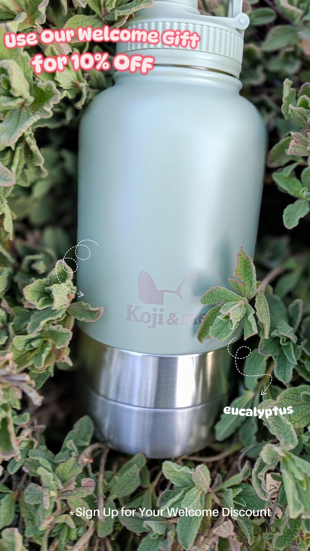 Light green water bottle with detachable silver bowls on green leaves, promotional text overlay 10% off