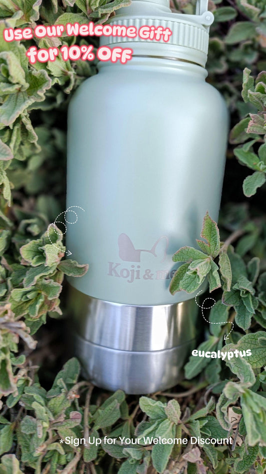 Light green water bottle with detachable silver bowls on green leaves, promotional text overlay 10% off
